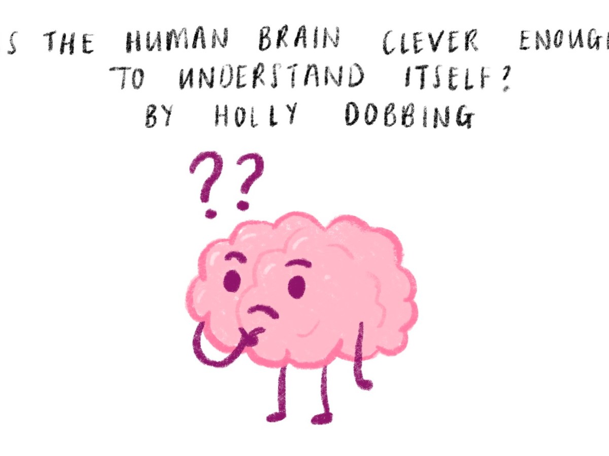 Is the Human Brain Clever Enough to Understand&nbsp;Itself?