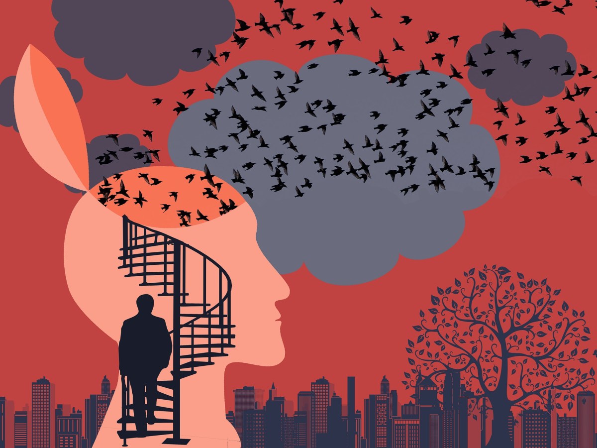 The Psychologist from&nbsp;Balkh