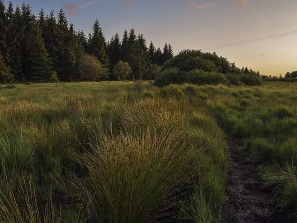 Who’s Moor? Not Ours&nbsp;Apparently