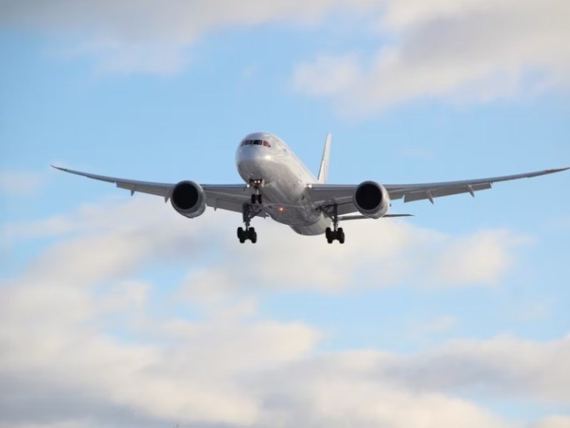 Sun, Scrubs, and Saviours: Who Really Wins in Medical&nbsp;Electives?